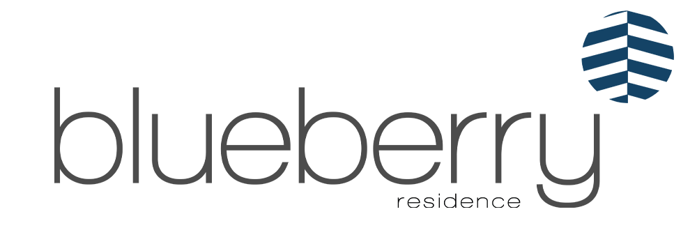 logo-blueberry